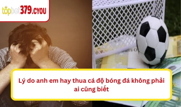 Lý do anh em hay thua cá độ bóng đá không phải ai cũng biết